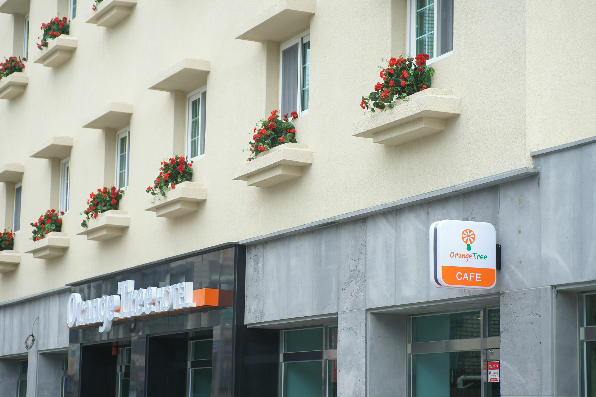 Orange Tree Hotel Jeju Exterior photo
